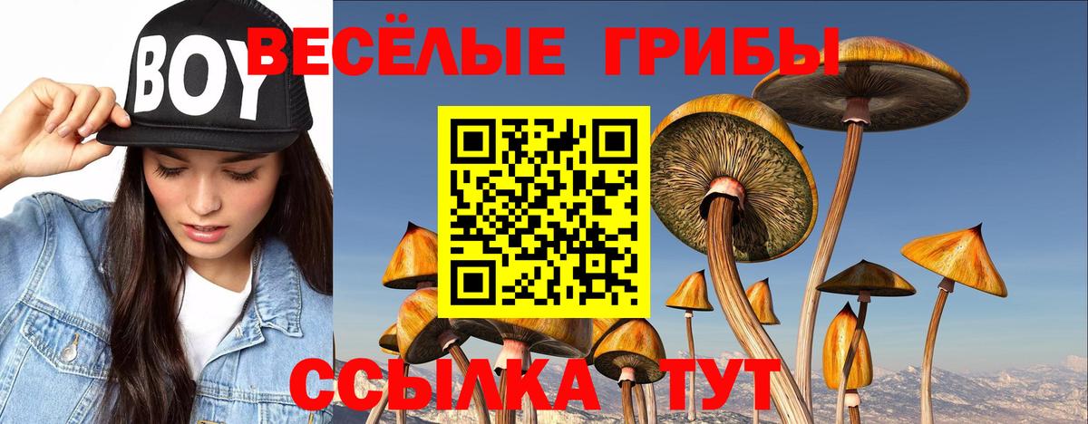 Галлюциногенные грибы мицелий Нижнеудинск