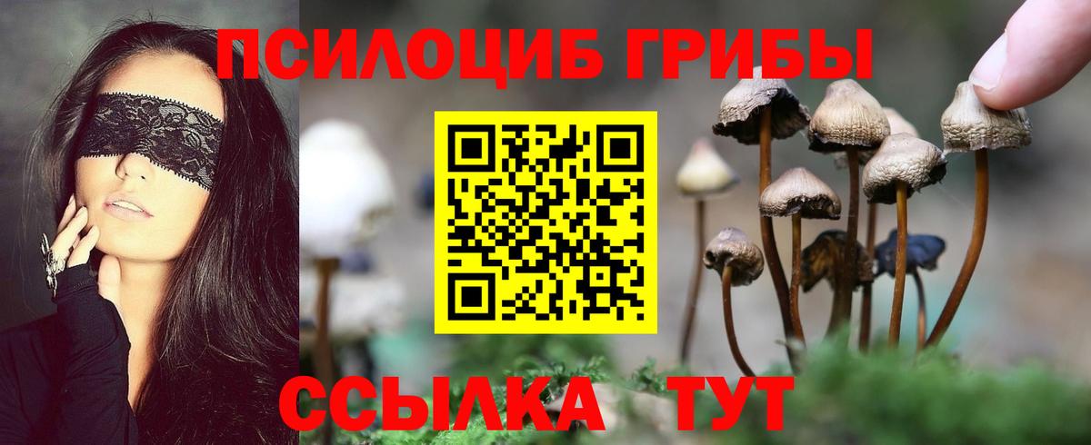 Галлюциногенные грибы мицелий  Вход с VPN  Нижнеудинск  Галлюциногенные грибы Psilocybine cubensis 