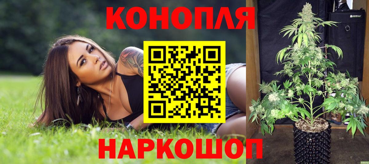 Бошки марихуана Amnesia  Вход с VPN  Нижнеудинск  Бошки марихуана конопля  Каннабис тримм  Марихуана Bruce Banner 